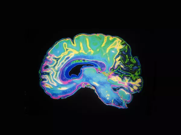 Frontiers in Behavioral Neuroscience
